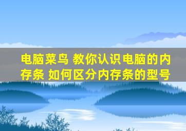 电脑菜鸟 教你认识电脑的内存条 如何区分内存条的型号